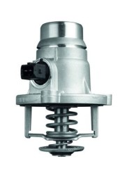 TM 27 101 MAHLE ORIGINAL Термостат