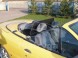 Cabrio Pietryga WTP00119 Вітрове скло Windschott Renault Megane CC 1995-2003 рр.