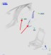 Ford OE JR3B-R699D64-BF3ZHE ПРАВИЙ РЕМІНЬ БЕЗПЕКИ MUSTANG 2017- FORD OE 2347876 _JR3B-R699D64-BF3ZH
