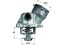 TM 29 100D MAHLE ORIGINAL Термостат
