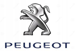 Peugeot OE ШЛАНГ ГІДРОПІДСИЛЮВАЧА КЕРМА PEUGEOT 206 CITROEN 401287