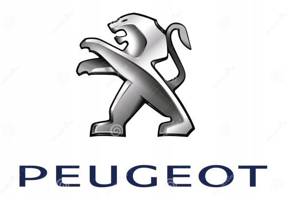 Peugeot OE ШЛАНГ ГІДРОПІДСИЛЮВАЧА КЕРМА PEUGEOT 206 CITROEN 401287