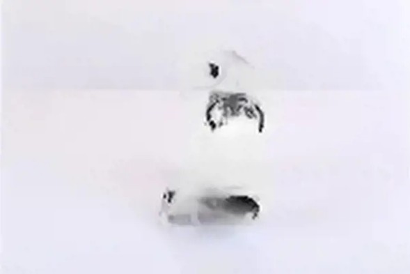 Nissens 93259 Турбокомпресор турбіна 93259 nissens citroen