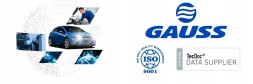 Gauss GI6002A ПАЛИВНИЙ НАСОС VOLVO 240 740 760 940 960 2.0 2.3 2.8