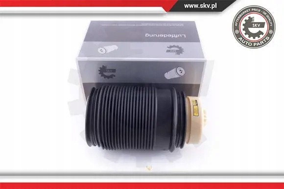 ESEN SKV 58SKV01 21 2x ESEN SKV сильфони повітряної подушки REAR L+R для MERCEDES-BENZ CLS