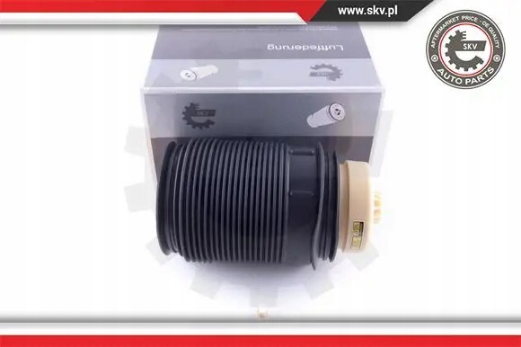 ESEN SKV 58SKV01 21 2x ESEN SKV сильфони повітряної подушки REAR L+R для MERCEDES-BENZ CLS