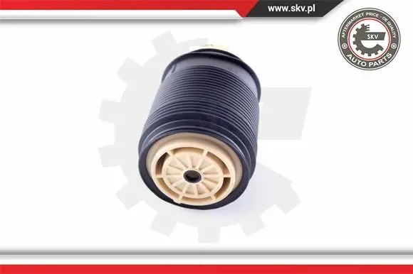 ESEN SKV 58SKV01 21 2x ESEN SKV сильфони повітряної подушки REAR L+R для MERCEDES-BENZ CLS