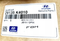 Hyundai OE 29135K4010 Повітряне кермо РАДІАТОРІВ ПЕРЕДНІЙ РЕМІНЬ Hyundai Kona ELECTRA 19+ НОВЕ OE