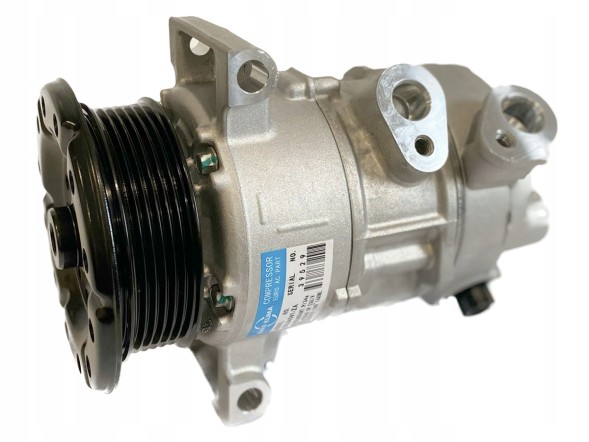 EURO KLIMA КОМПРЕСОР КОНДИЦІОНЕРА CHRYSLER, DODGE, ДЖИП P55111429AG
