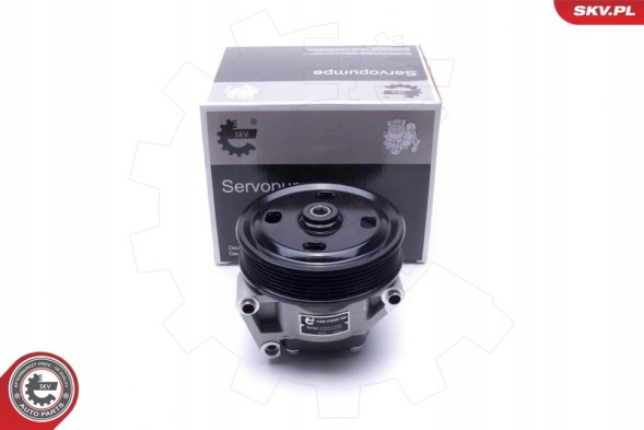 ESEN SKV 10SKV309 Насос гпк skv