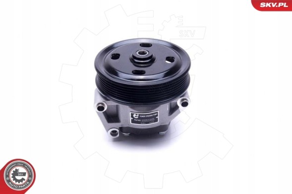 ESEN SKV 10SKV309 Насос гпк skv