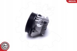 ESEN SKV 10SKV309 Насос гпк skv
