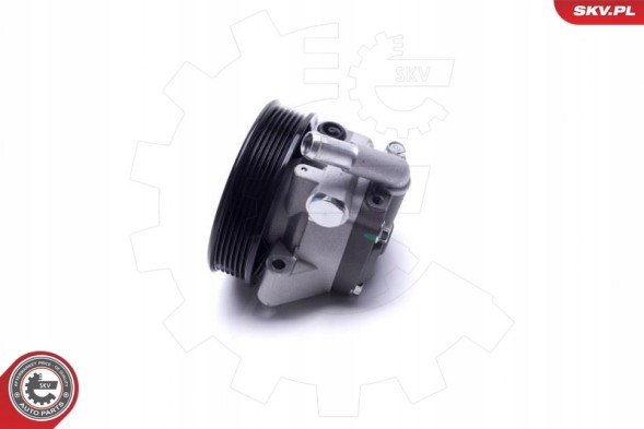 ESEN SKV 10SKV309 Насос гпк skv
