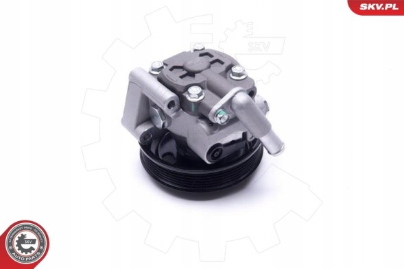 ESEN SKV 10SKV309 Насос гпк skv