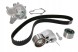 Continental CT1099WP2 Комплект грм contitech hyundai 1,5crdi/2,0crdi