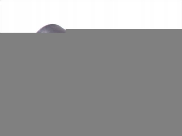 Bosch 1 110 010 021 Bosch 1 110 010 021 запобіжний клапан, система common rail 1 110 010 021
