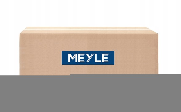 Meyle 313 220 0016 Meyle 313 220 0016 водяний насос, охолодження двигуна