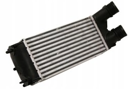 Abakus 009-018-0009 Інтеркулер citroen berlingo b9 1.6 hdi (08-)