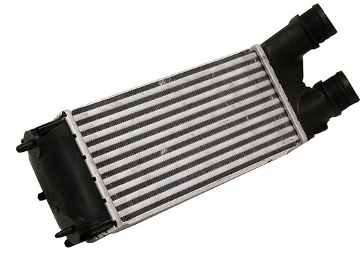 Abakus 009-018-0009 Інтеркулер citroen berlingo b9 1.6 hdi (08-)