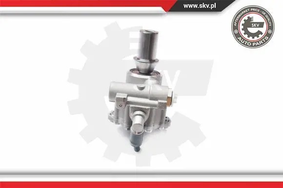 ESEN SKV 10SKV217 Насос гідропідсилювача 10skv217 esen skv