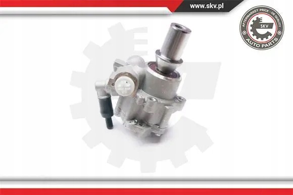 ESEN SKV 10SKV217 Насос гідропідсилювача 10skv217 esen skv