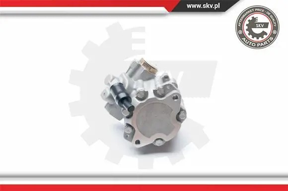 ESEN SKV 10SKV217 Насос гідропідсилювача 10skv217 esen skv