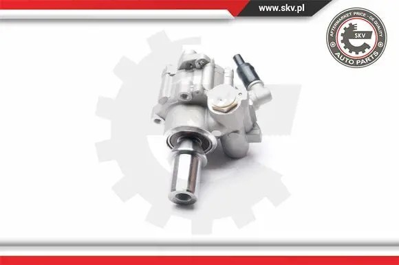 ESEN SKV 10SKV217 Насос гідропідсилювача 10skv217 esen skv