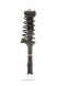 Pedders 803270 Комплект підвіски Pedders Lift +30мм Subaru Forester SG