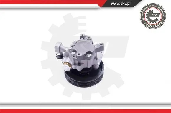 ESEN SKV 10SKV235 Насос гідропідсилювача 10скв235 esen skv mercedes