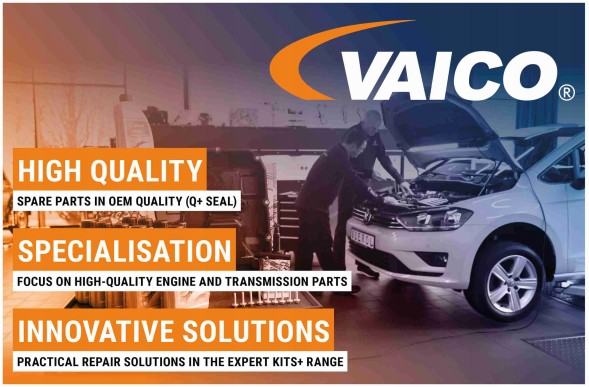 Vaico V42-0255 Vaico v42-0255 пробка, охолоджувач