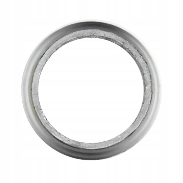 Ferroz FRZ-G1G66C2O1M5C7S9 Випускний колектор VW Transporter T3 III 79 - 92 1.7 D Фургон / Бортова платформа