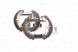 Bosch 0 204 114 654 Bosch 0 204 114 654 набір гальмівних щелеп